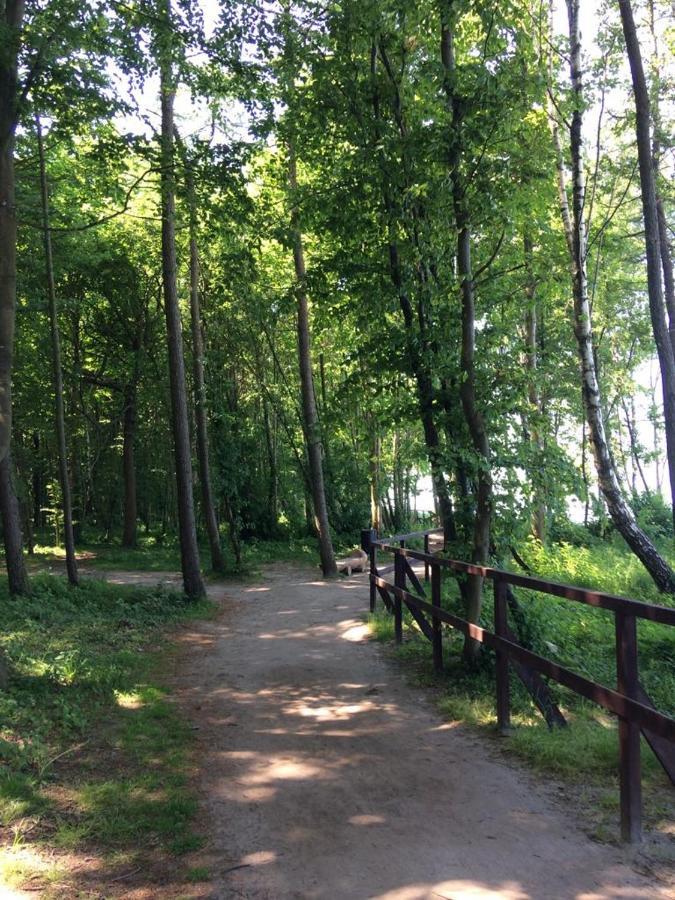 Domek Milka Jastrzębia Góra المظهر الخارجي الصورة